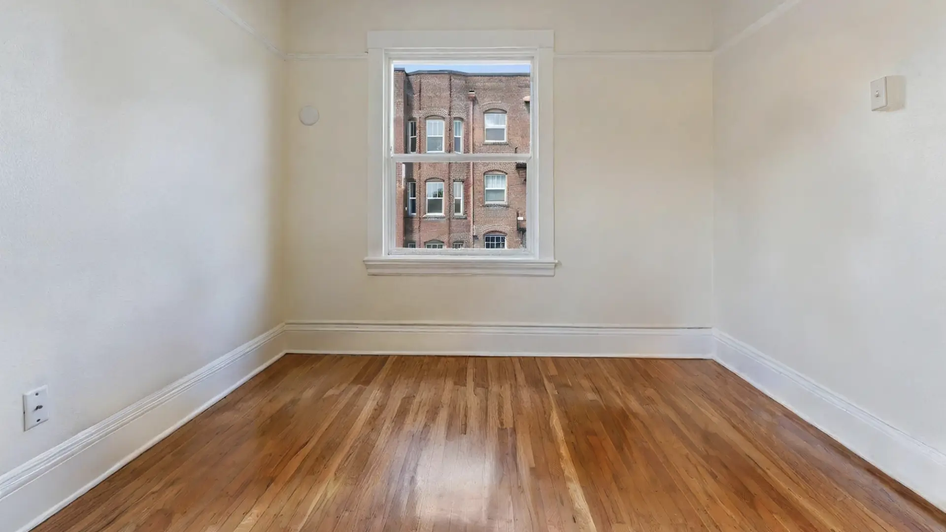 background remover before